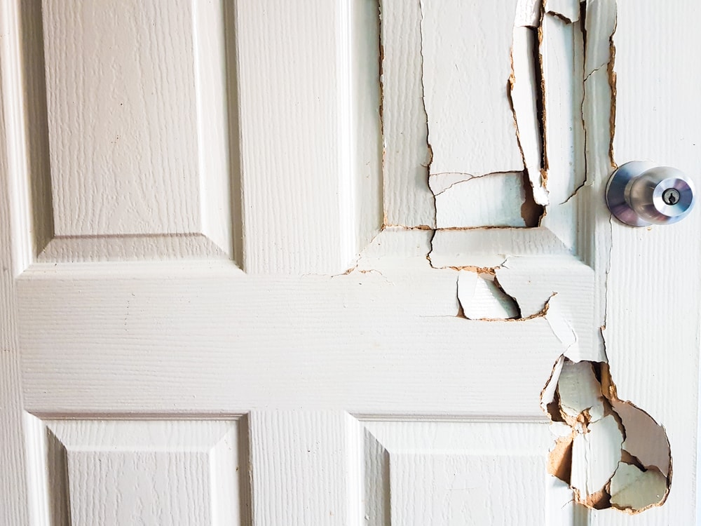 Einbruchschadenbeseitigung Tür